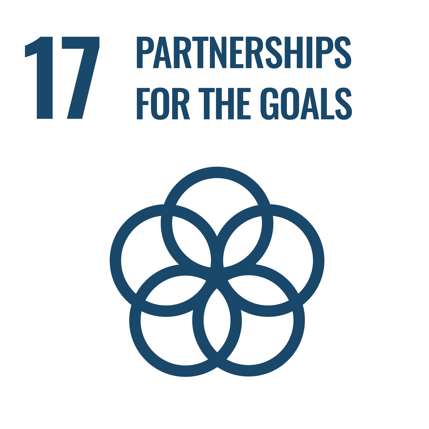 SDG Goal 17 Partnerships for the Goals