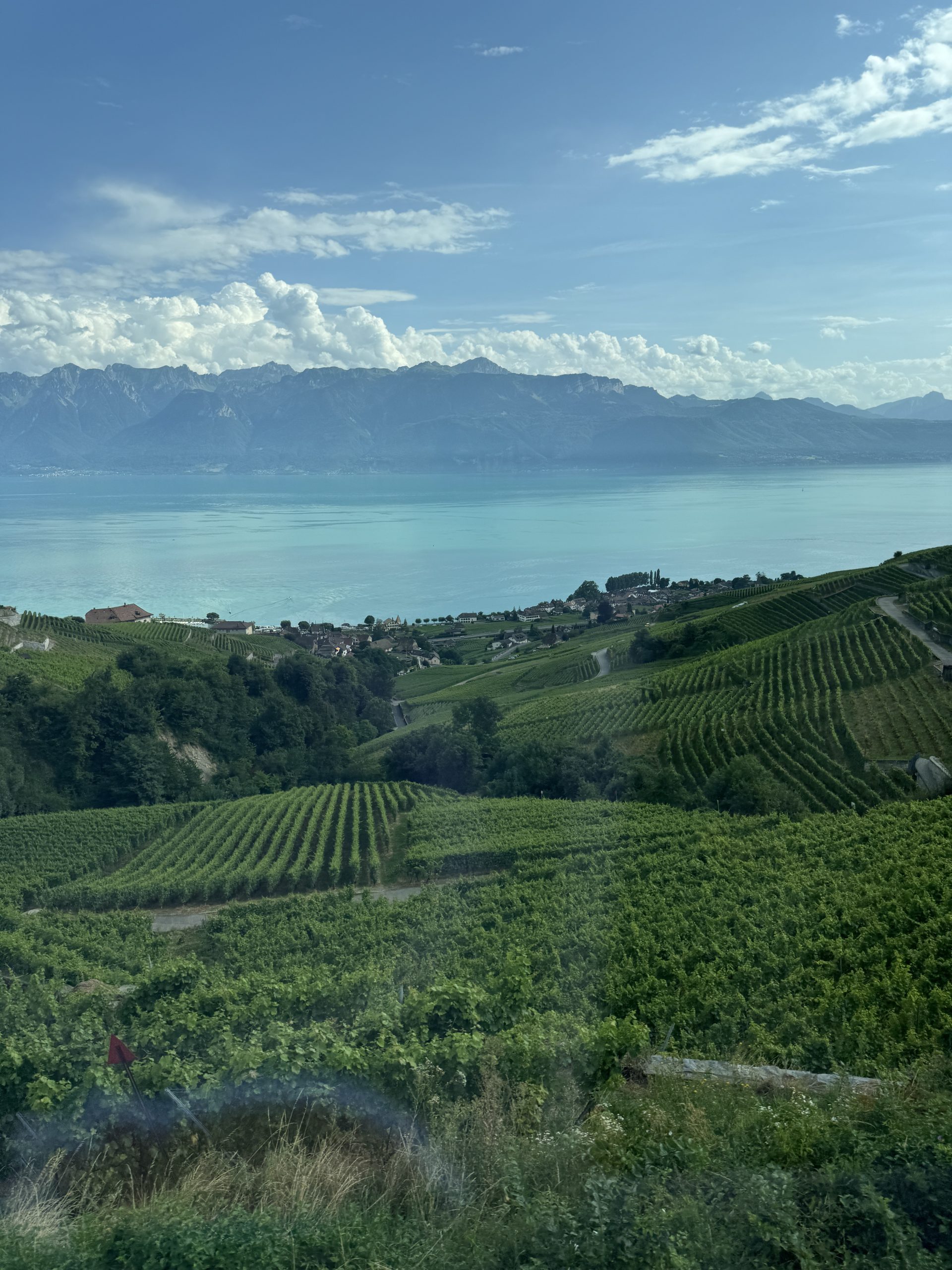 Summer Sustainable Cities in Zurich Photo